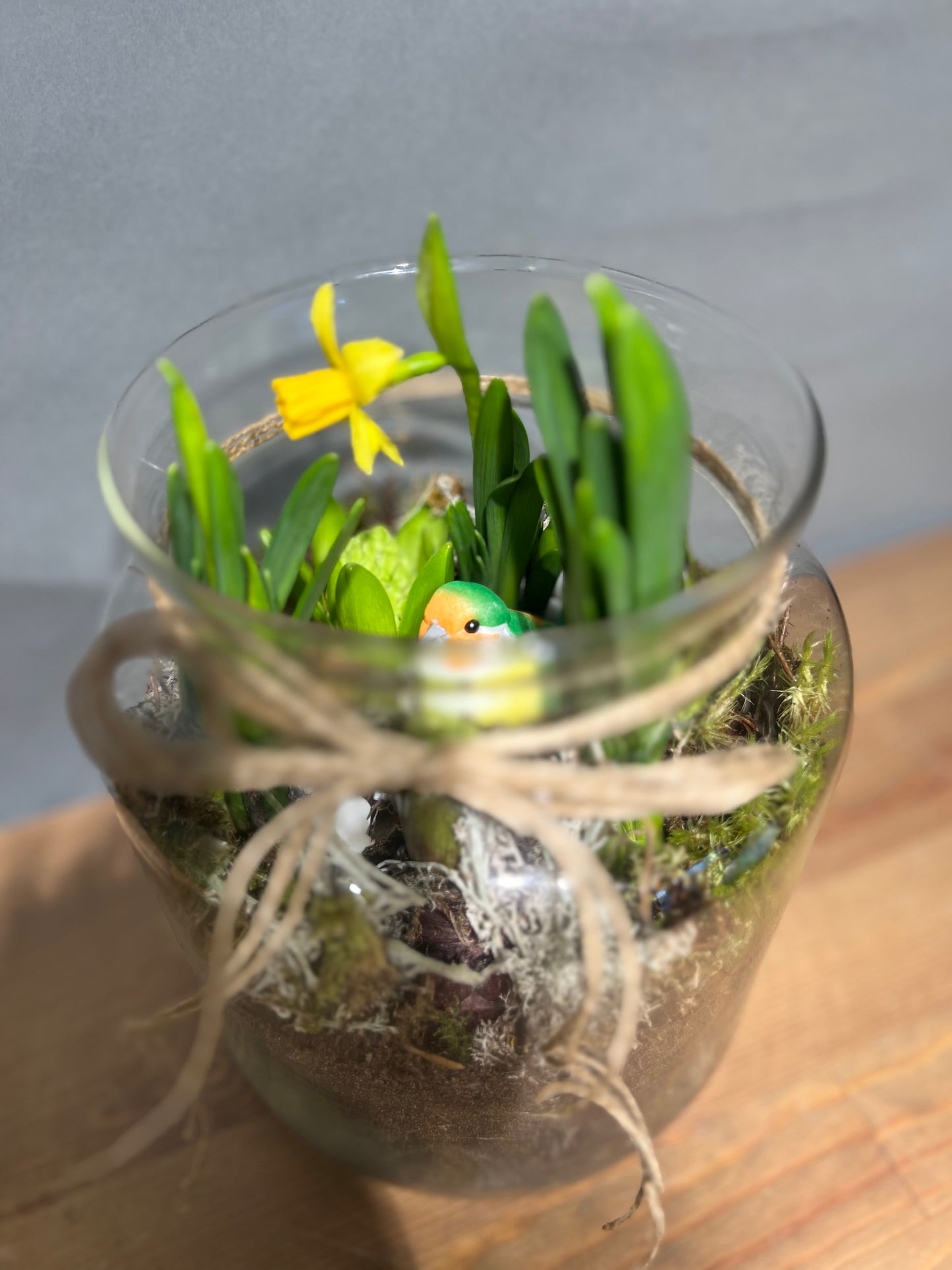 hyacinth and narcissus mix in glass vase
