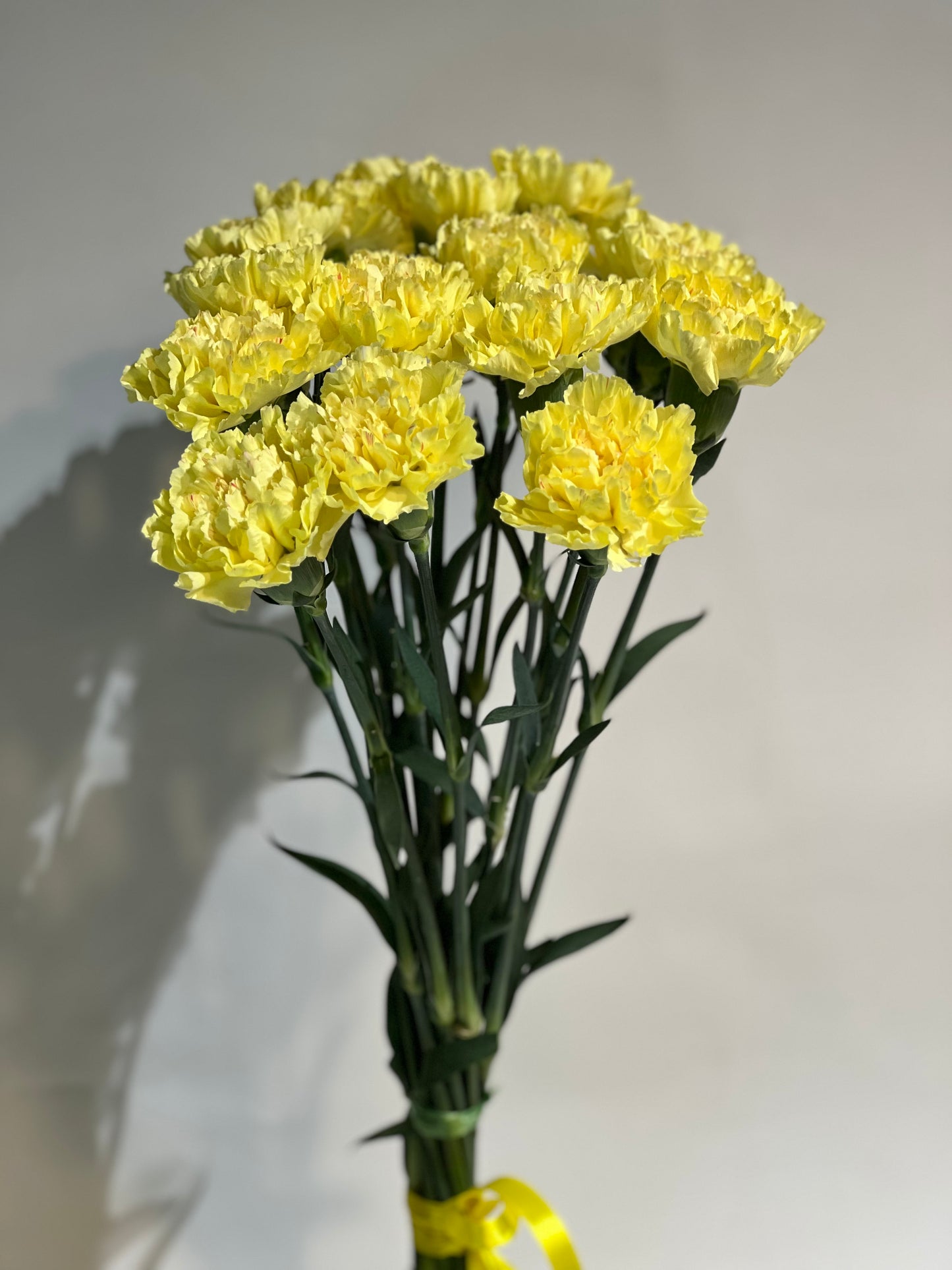Yellow carnations