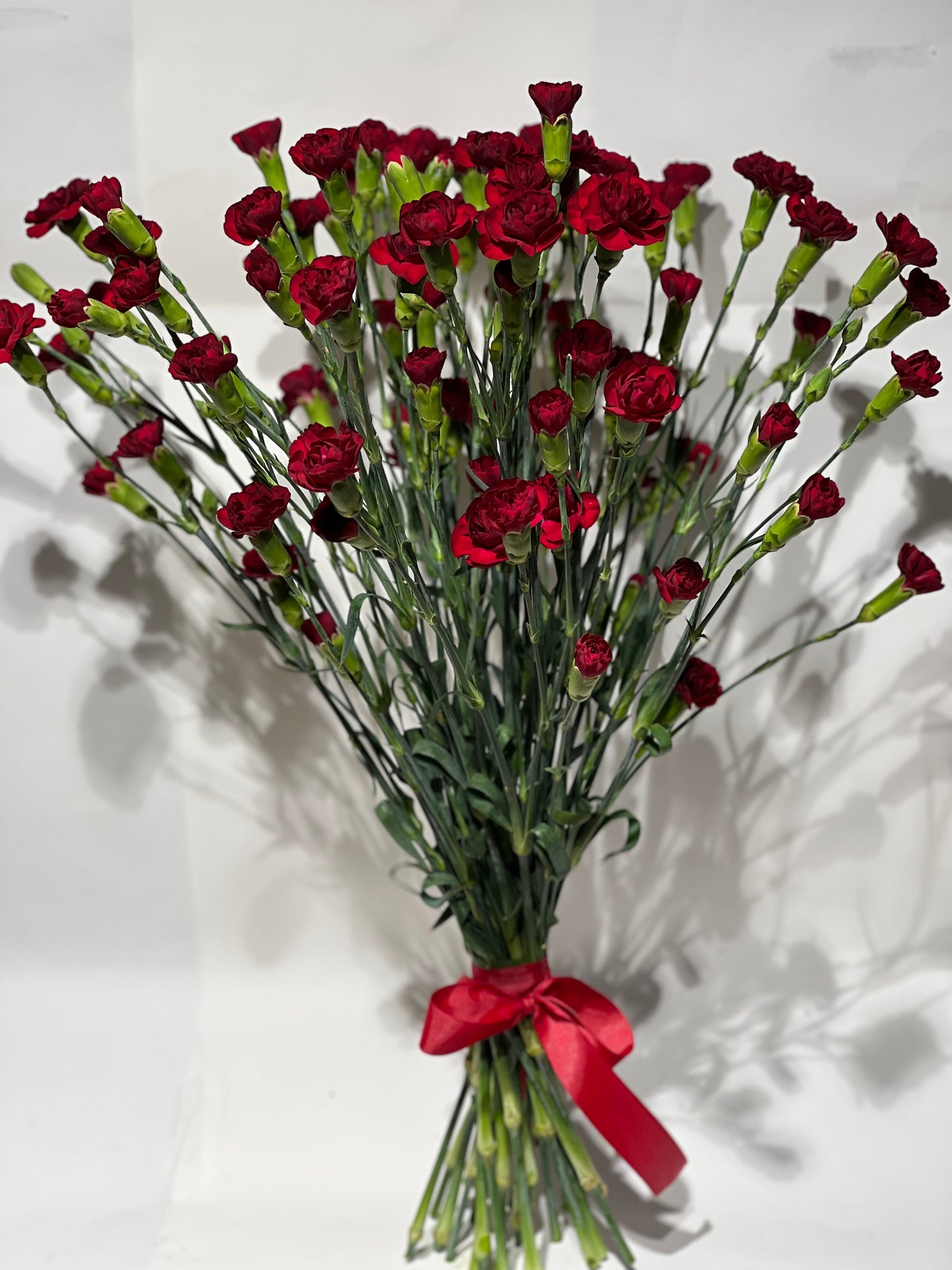 Red spray carnations