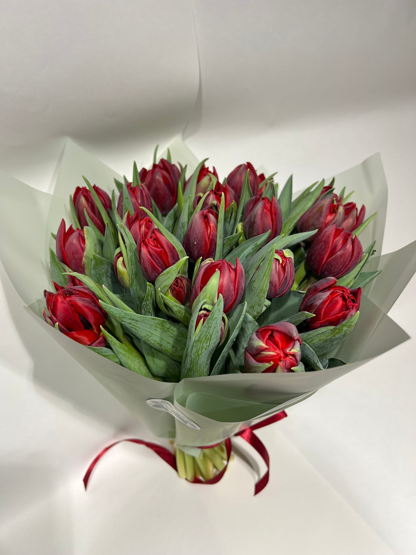 Sarkanas tulpes ar pildītiem ziediem