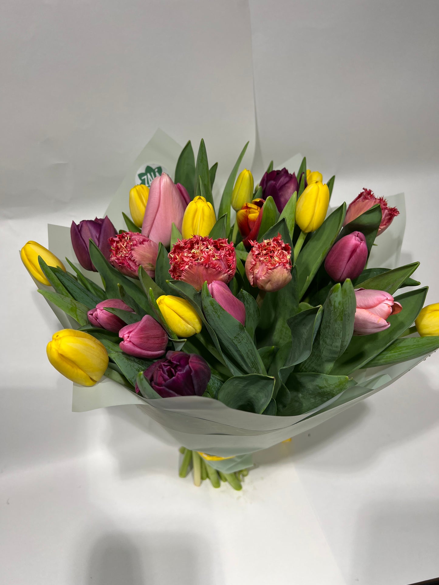 Krāsainas tulpes
