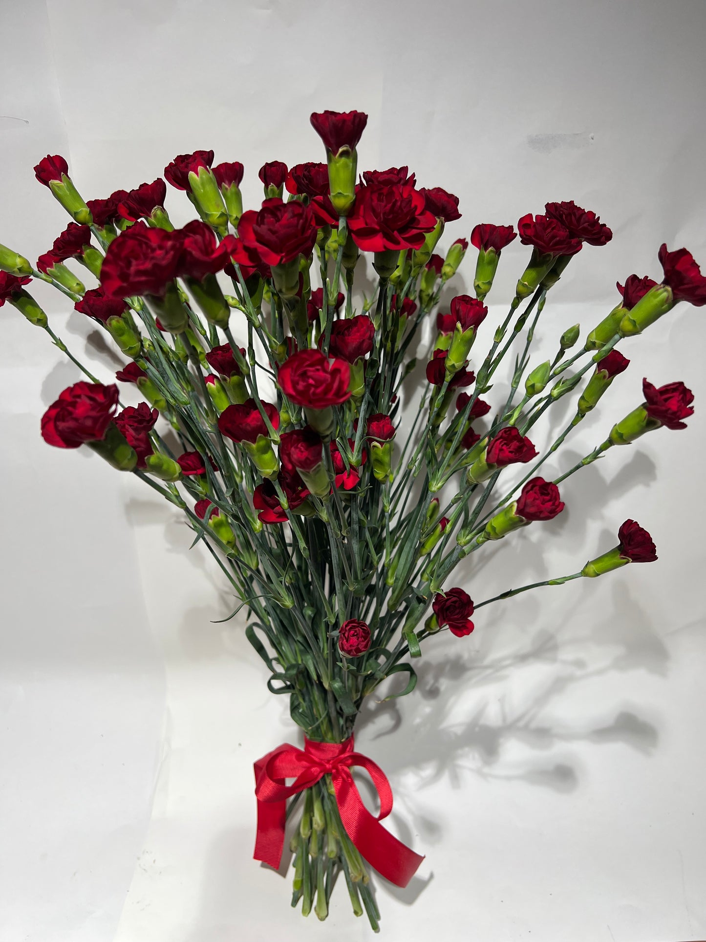 Red spray carnations