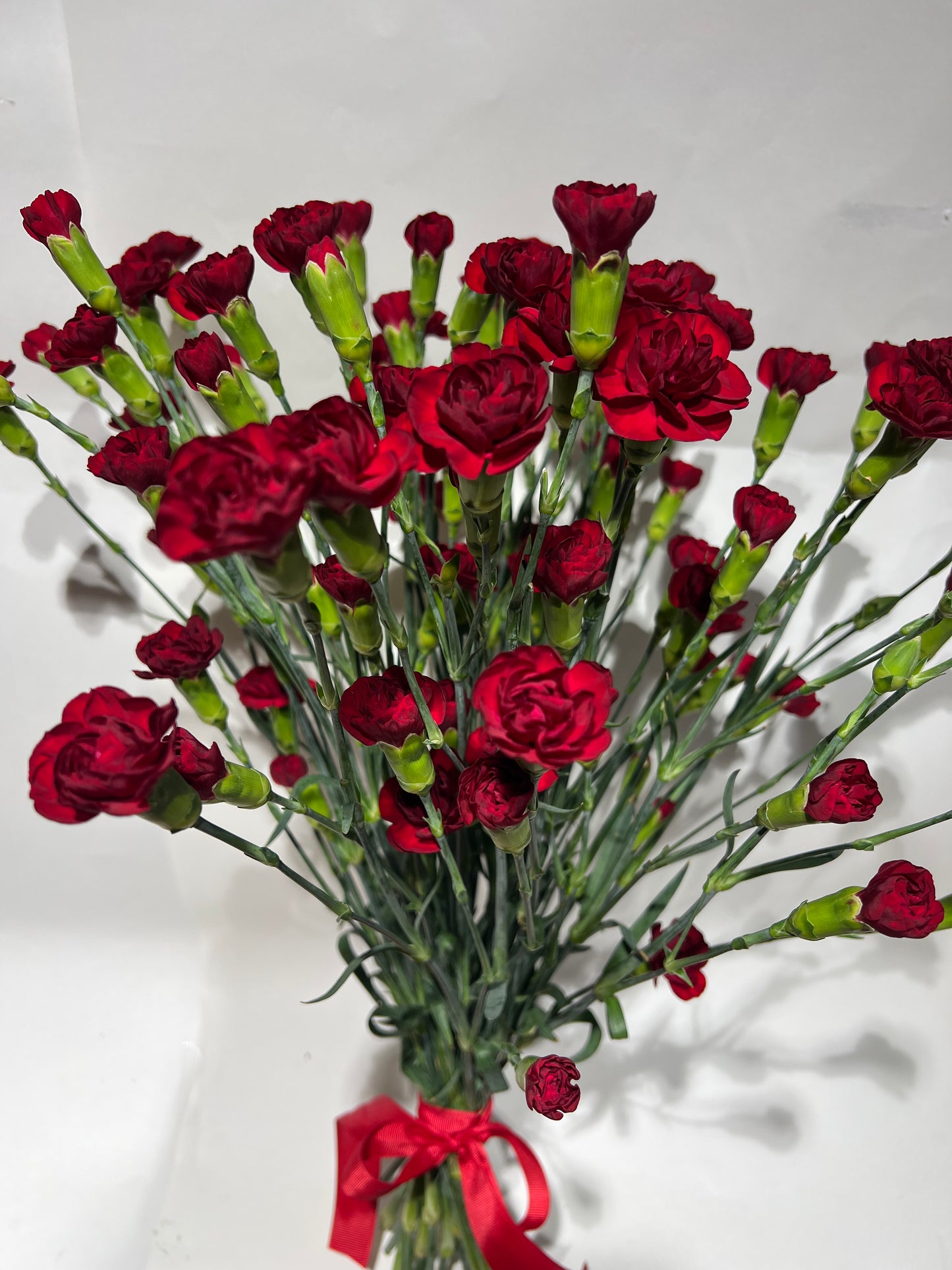 Red spray carnations
