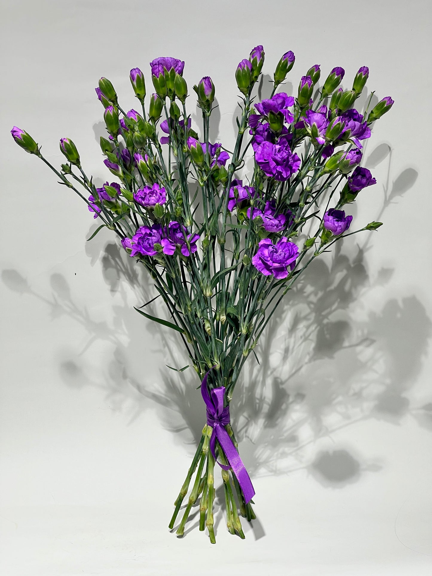 Purple spray carnations