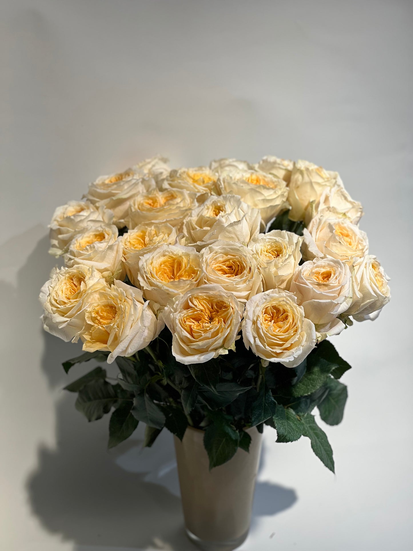 Ekvadoras rozes krēmkrāsas 50 cm