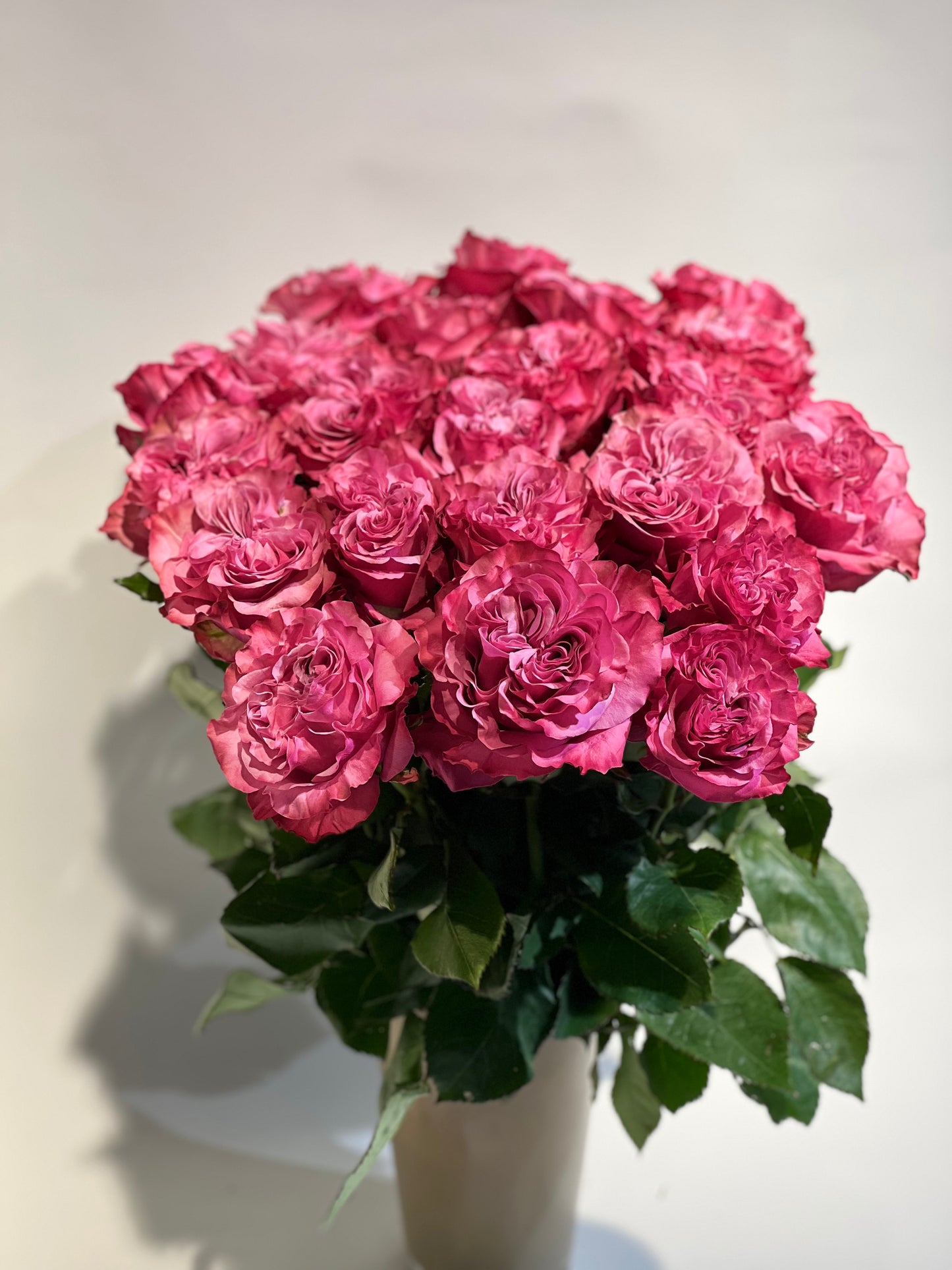 Ekvadoras rozes rozā 50 cm