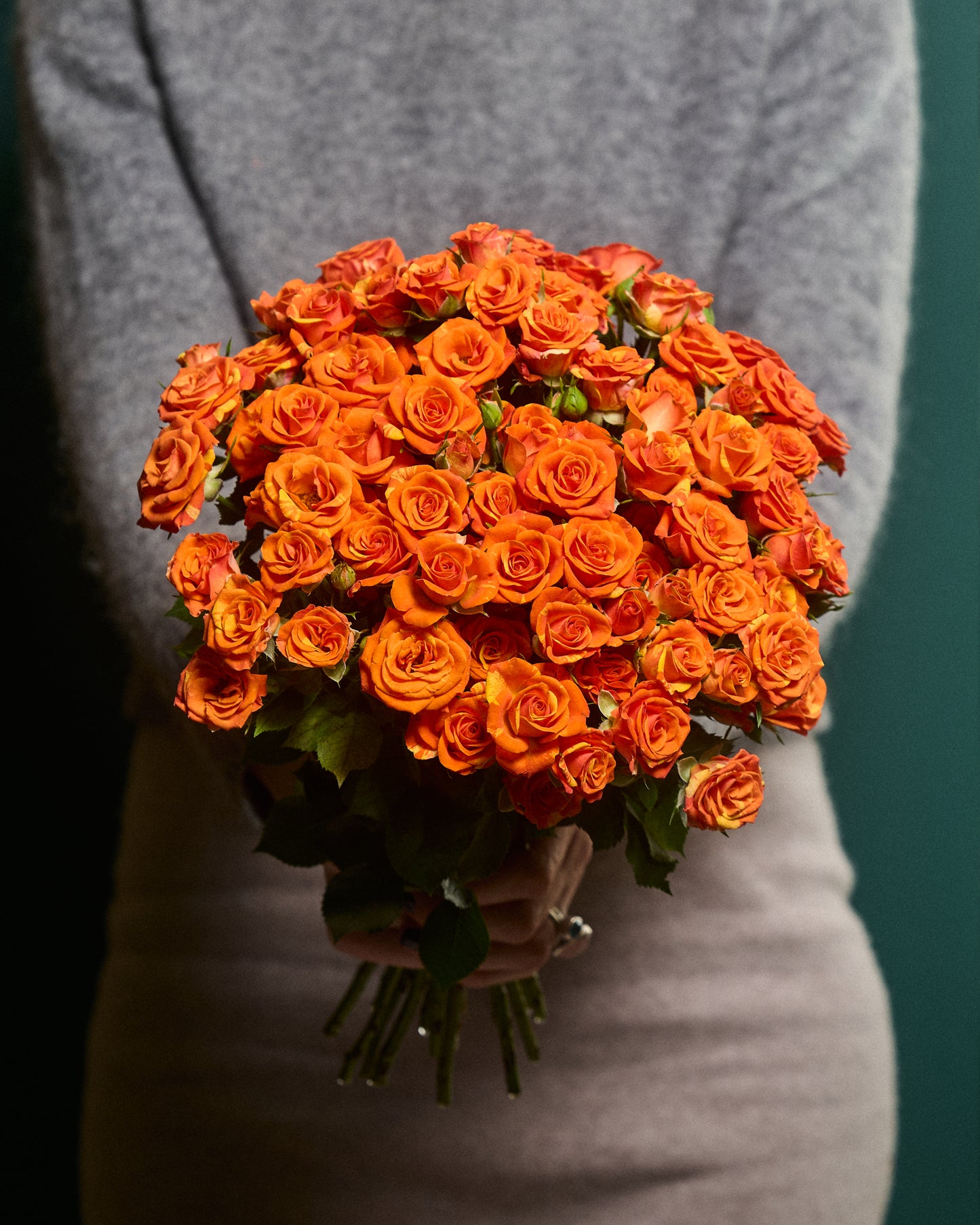 Oranžas krūmu rozes L40