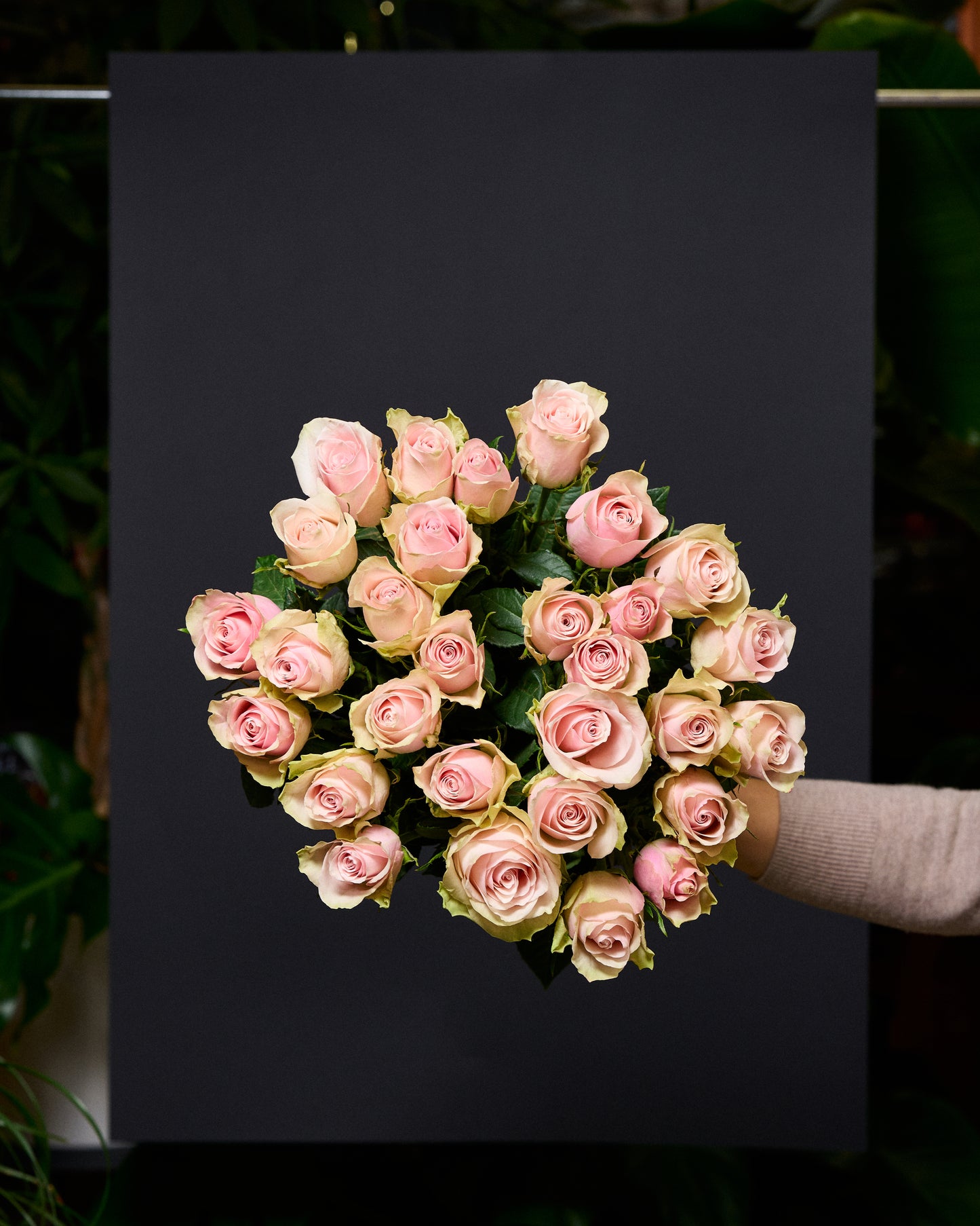 Pink roses 70-80cm