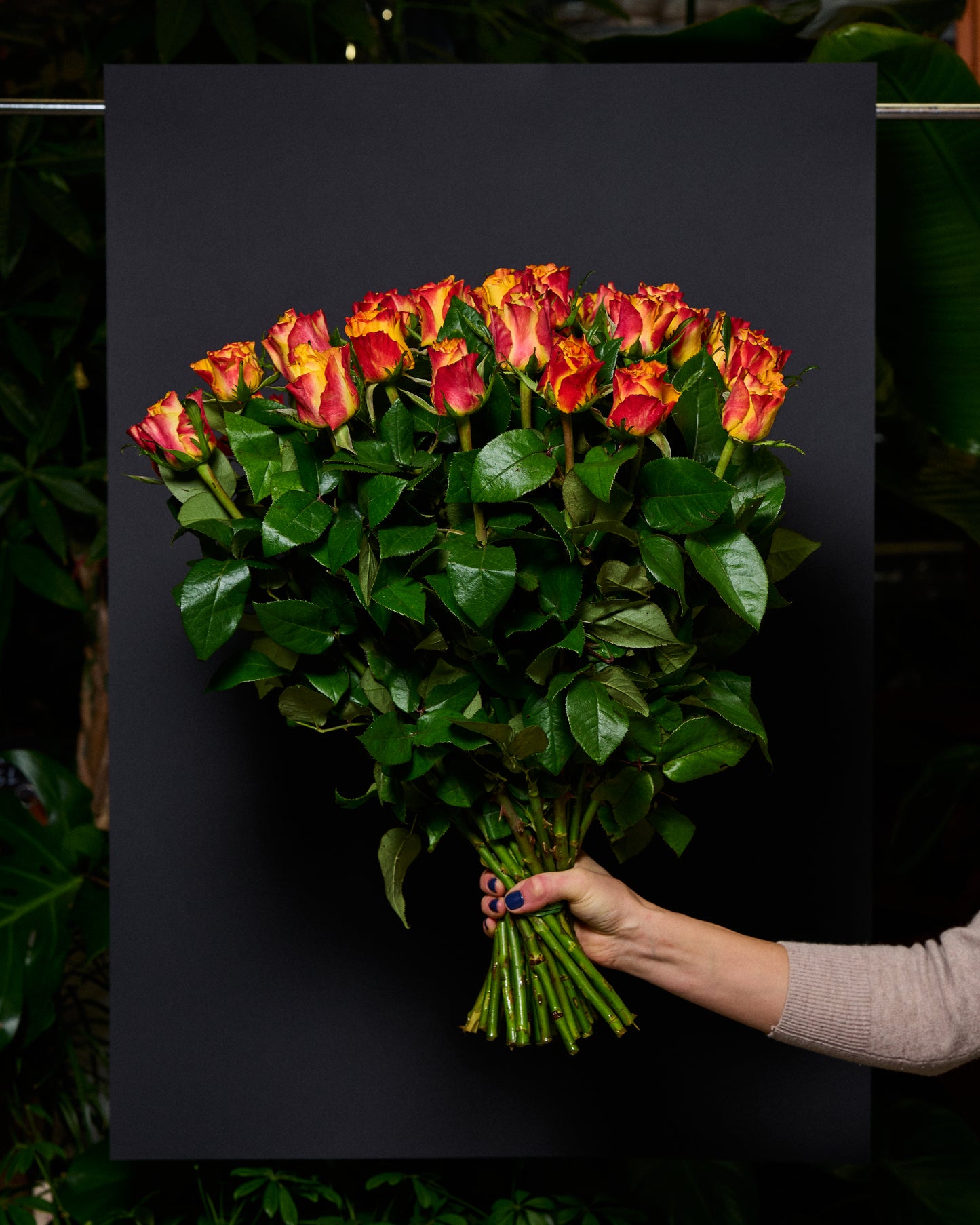 Flame roses 70-80cm