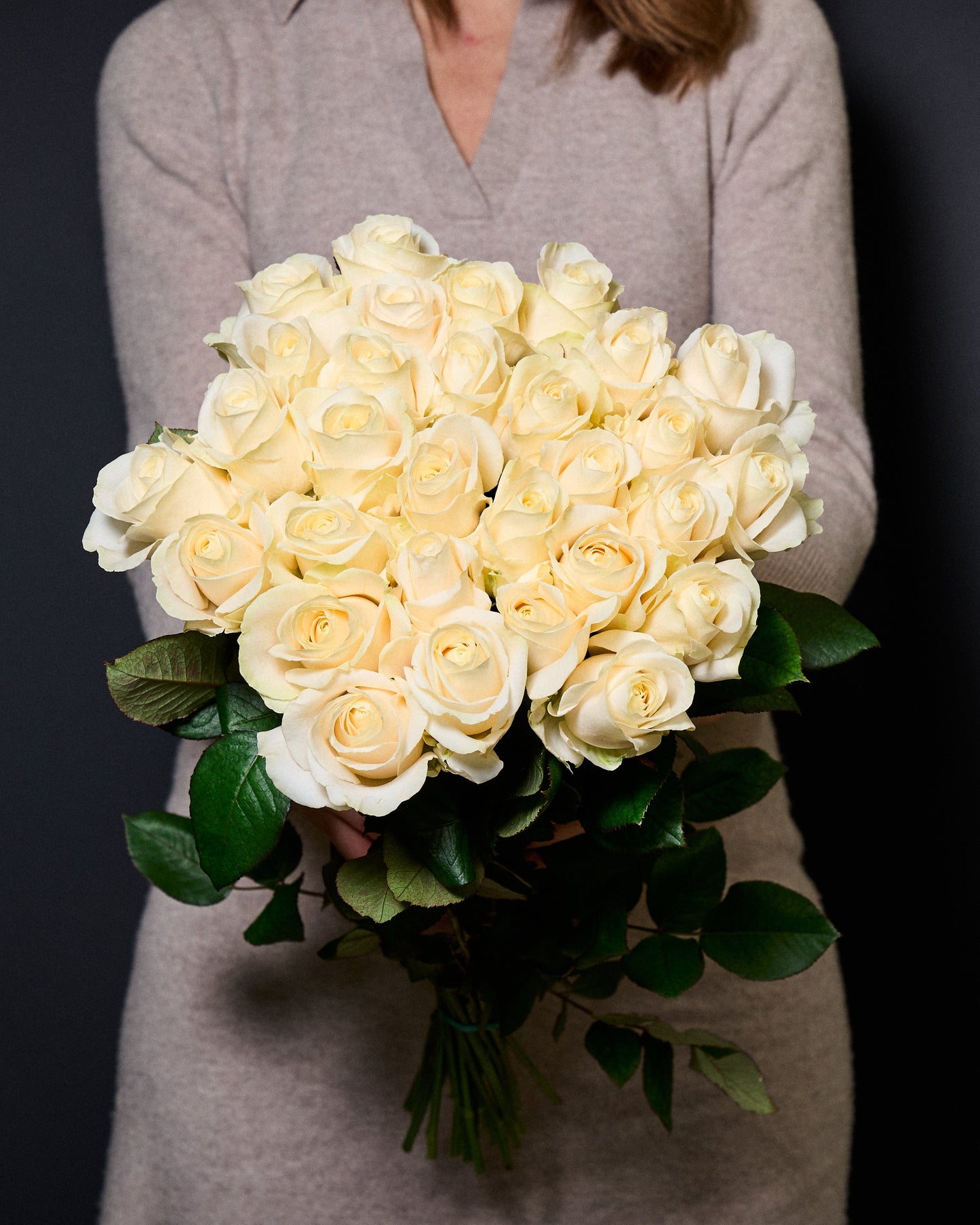 Krēmkrāsas rozes 50 - 60 cm