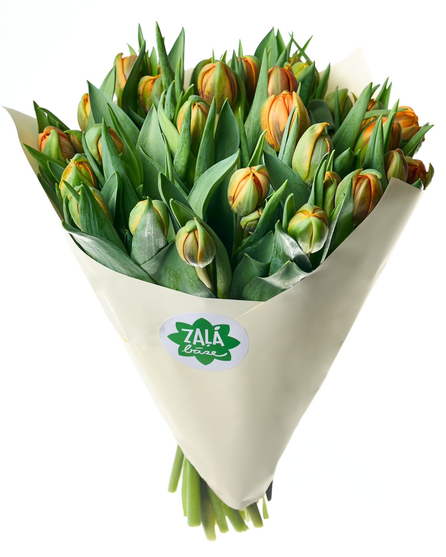 Oranžas tulpes ar pildītiem ziediem