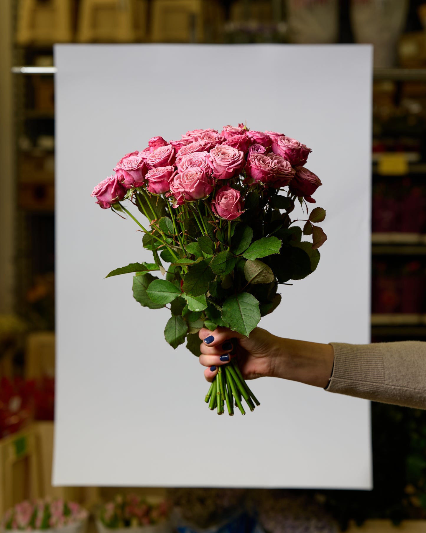 Violetas krūmu rozes