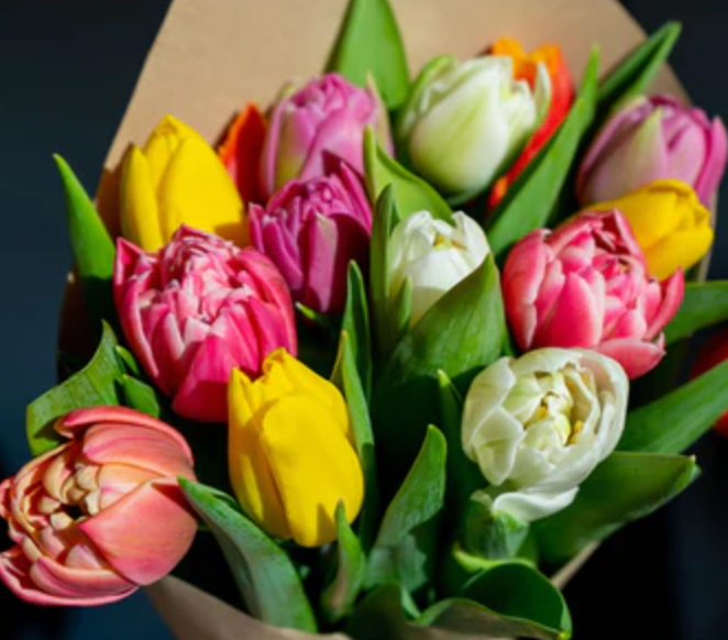 Krāsainas tulpes ar pildītiem ziediem