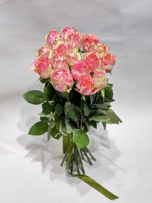 Fiesta roses 50-60cm