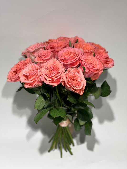 Blushing Reeva roses 30-40cm