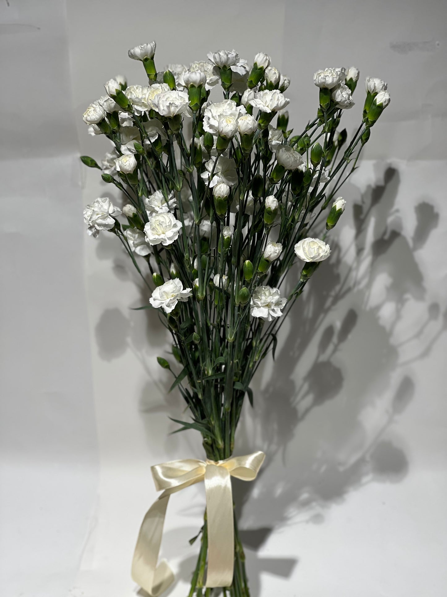 White spray carnations