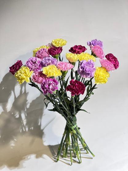 Mixed colour carnations