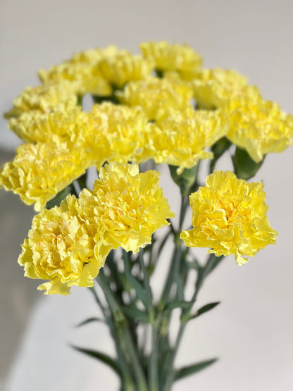 Yellow carnations