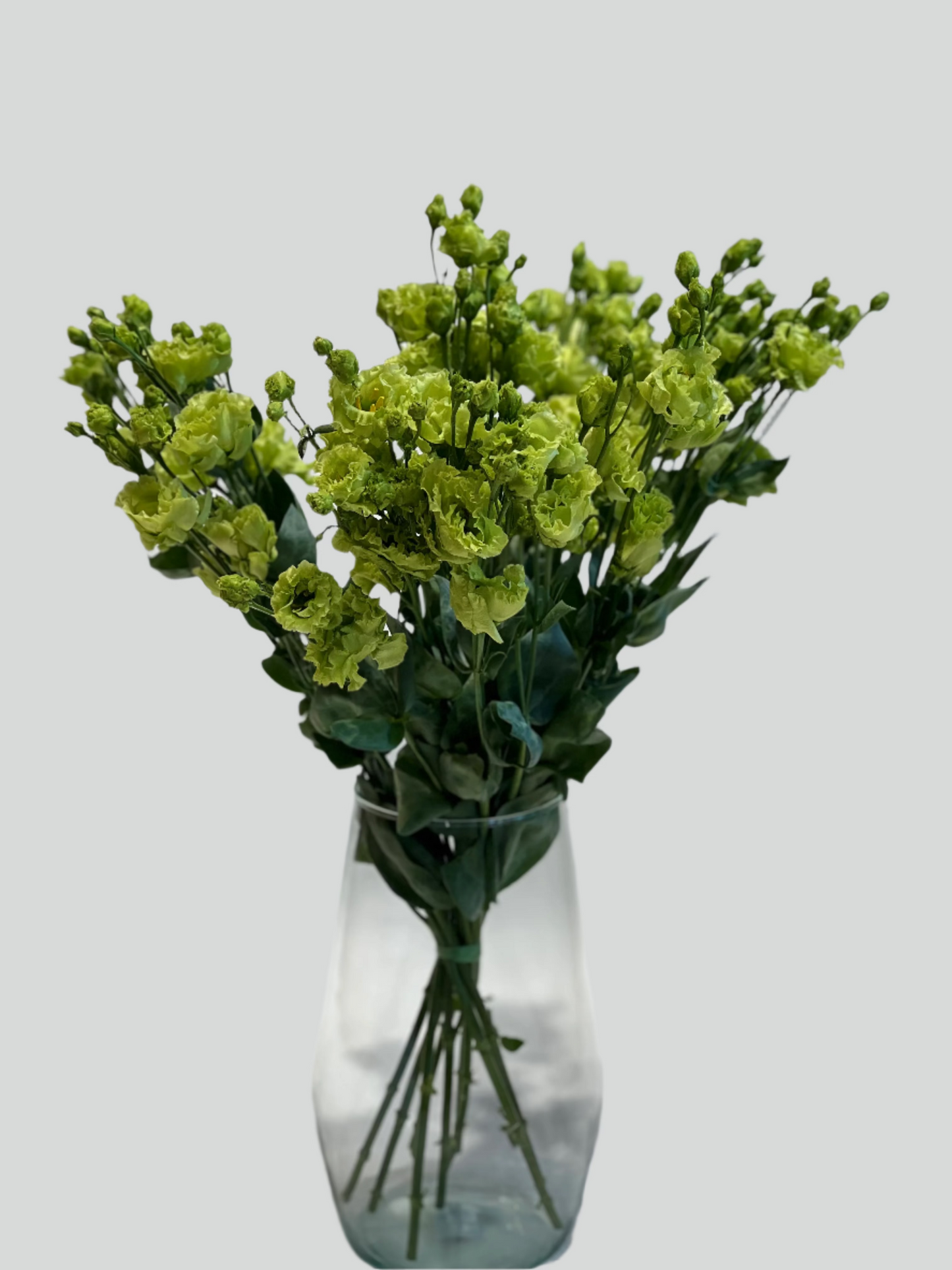 Green lisantes