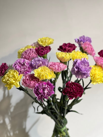 Mixed colour carnations