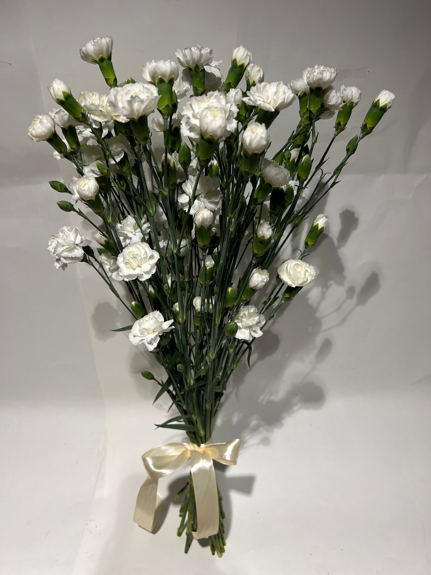 White spray carnations