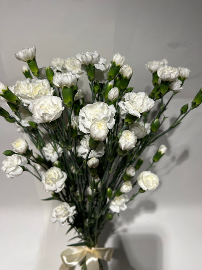 White spray carnations