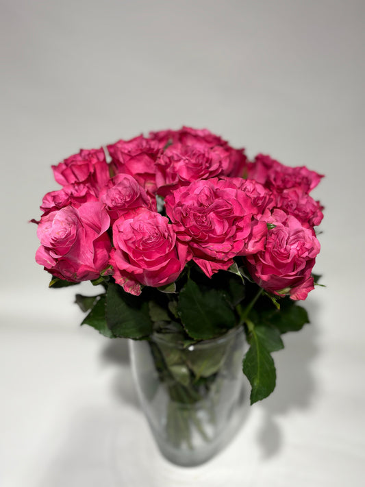 Country blues roses 30-40cm