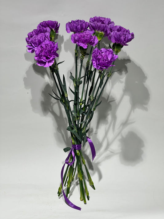Purple carnations