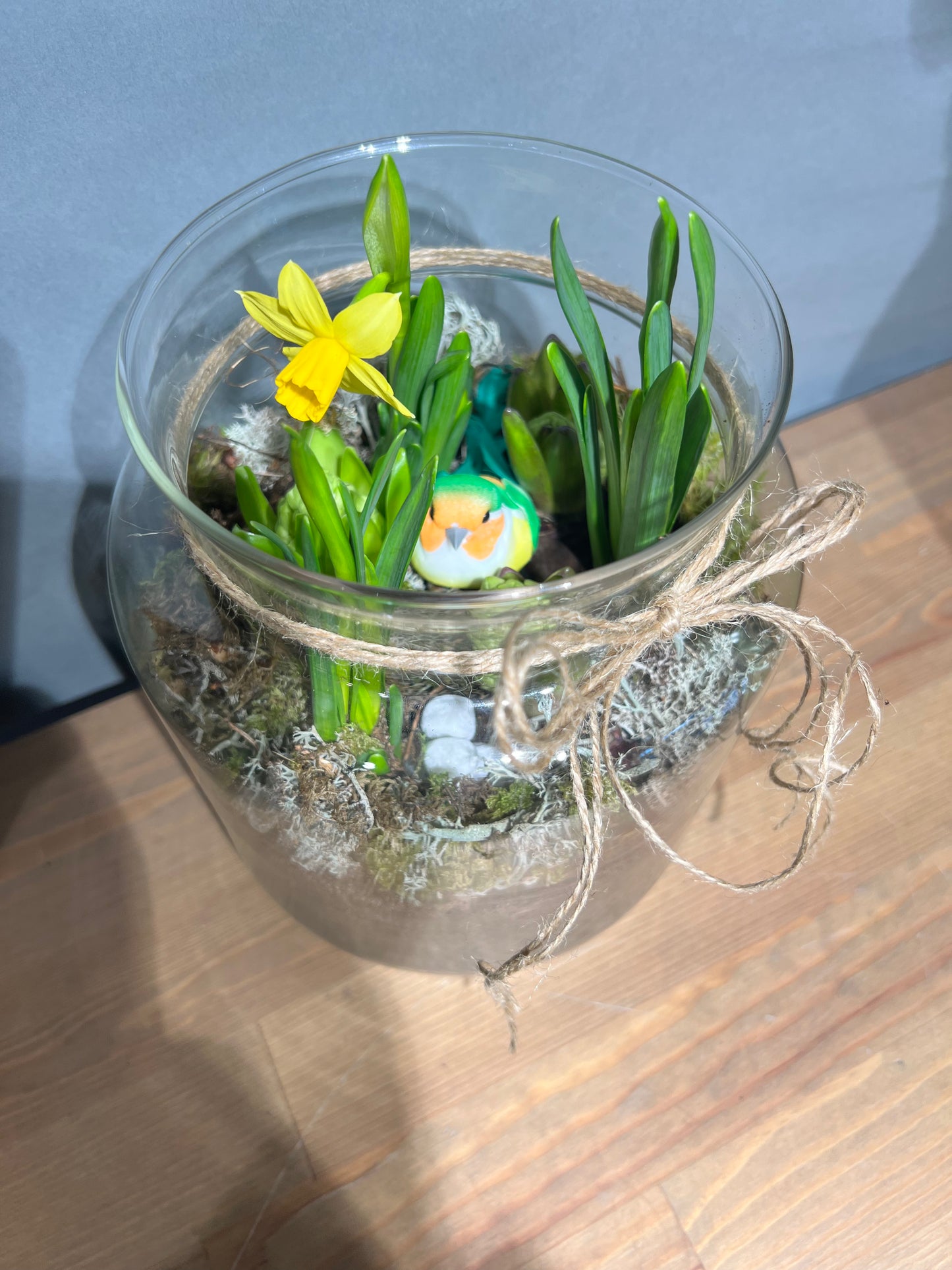 hyacinth and narcissus mix in glass vase