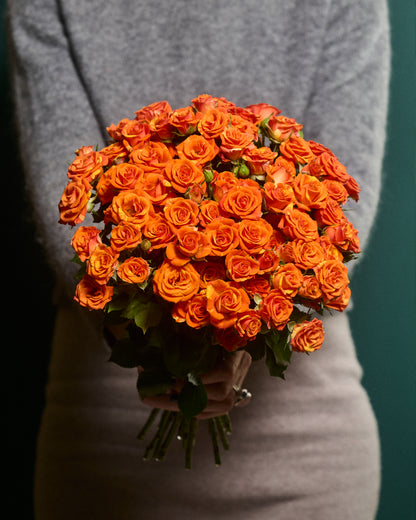 Orange shrub roses