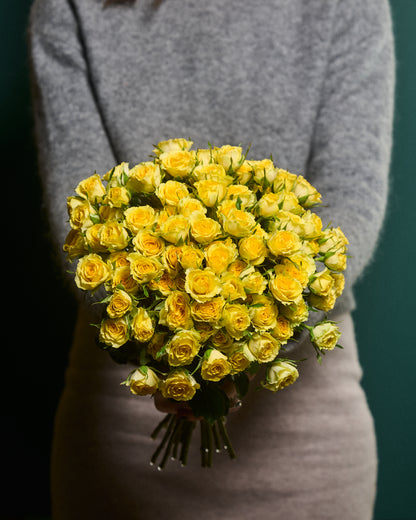 Yellow shrub roses