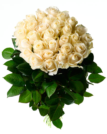 Cream roses 70-80cm