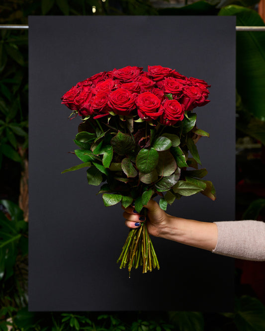 Sarkanas rozes 30 - 40 cm