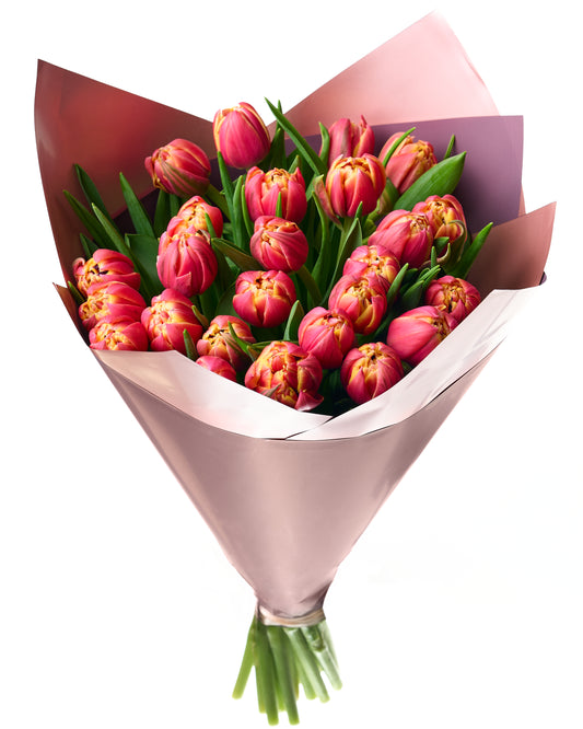 Cream pink tulips with stuffed flowers