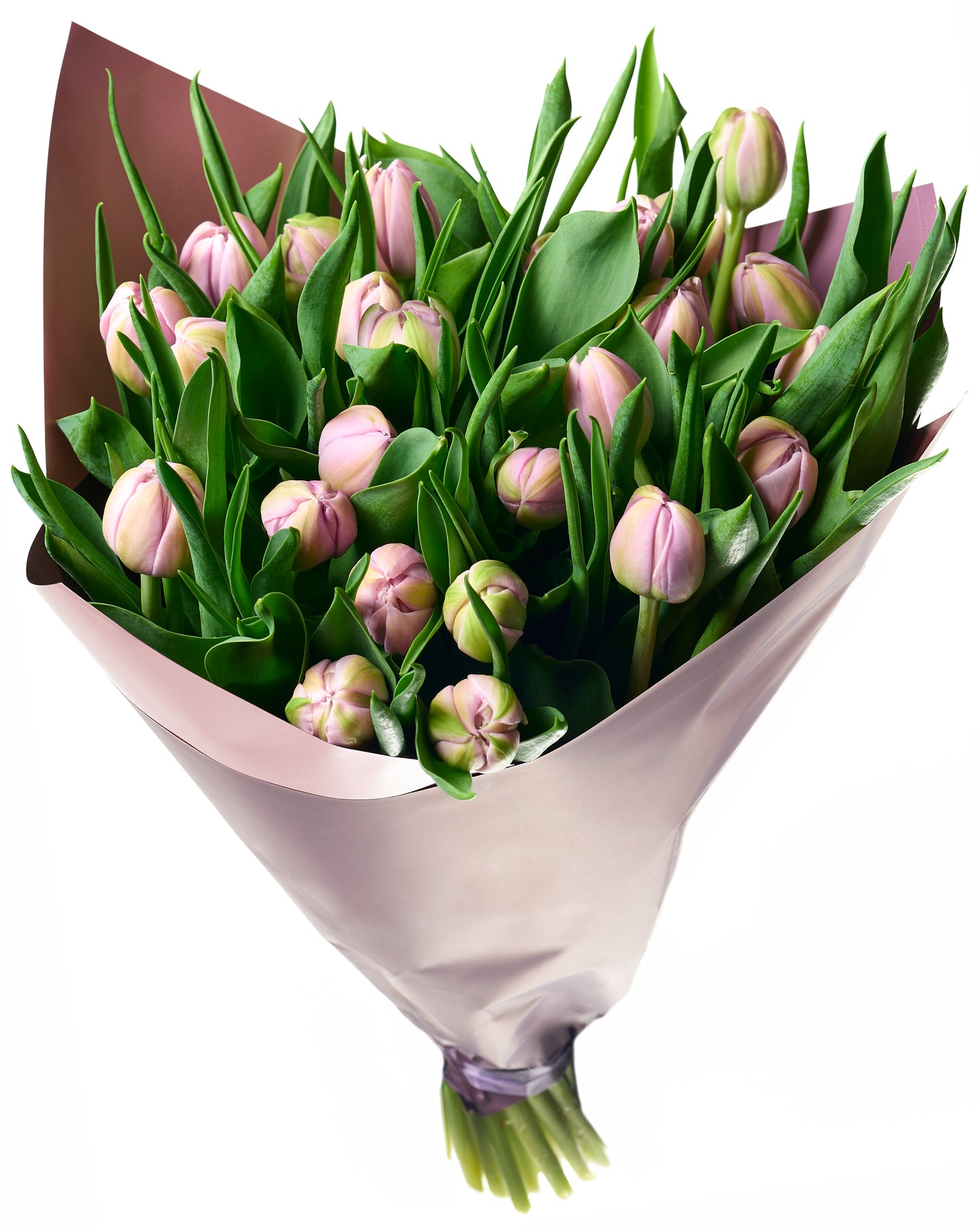 Purple/pink tulips with stuffed flowers