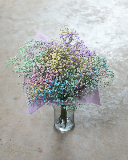 Painted gypsophila bouquet